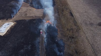 Українська земля палає не лише від ворожих бомб: місцеві неадеквати теж нищать усе живе. ФОТО