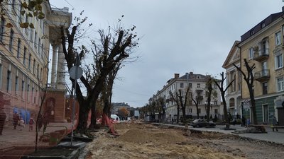 У Тернополі заборонили омолоджувальну обрізку дерев