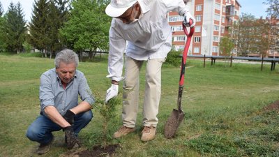 У Чорткові з'явився шкільний сад пам'яті Андрія Степаненка