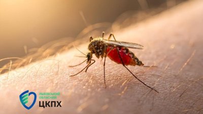 Привезли з відпустки тропічну малярію