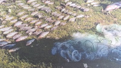 Від браконьєрів з Тернопільщини вимагають відшкодувати збитки