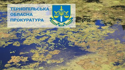 Збитків на два мільйони: будуть судити посадовця, через якого нечистоти потрапили у річку