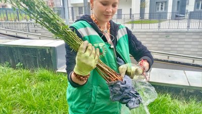 У Харкові висадили персики, саджанці яких подарувала мешканка Заліщик. ФОТО