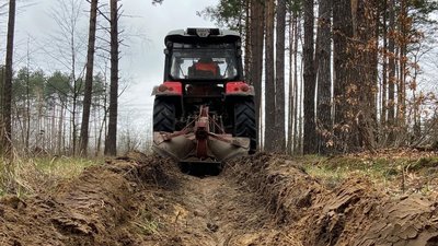 У лісах Тернопільщини створюють мінералізовані смуги: для чого вони потрібні