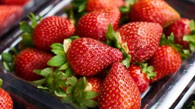 На тернопільських ринках дешевшає полуниця, але ціни ще кусаються