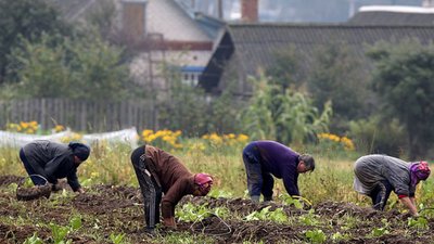 Сільське господарство Тернопільщини потребує робочих рук