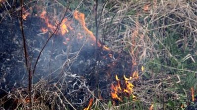 Горів парк Національного відродження