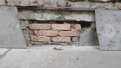 Замурували живцем: у Тернополі кошенят прирекли на вірну смерть. ФОТО
