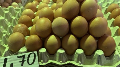 "Золоті" яйця: у Тернополі дорожчає сільськогосподарська продукція