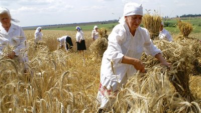 Чи вистачить аграріям області пального, щоб зібрати хліб?