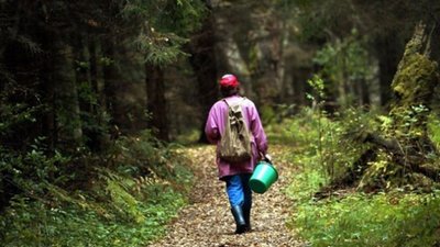 На Тернопільщині розшукують двох жінок, які пішли в ліс по гриби і не повернулися