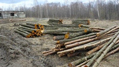 Кременецькі лісники розказали, як здавали "данину" керівництву та організовували застілля Хоптяну