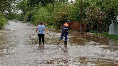 "Величезний потік ринув на село": внаслідок зливи на Тернопільщині затопило господарства, загинула птиця