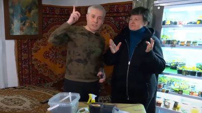 Майже двісті тисяч підписників: пенсіонерка з Тернополя веде популярний блог про господарку. ВІДЕО