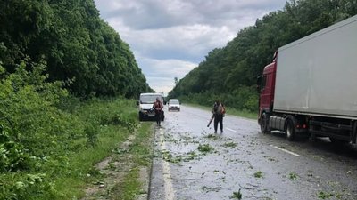 Дерева падали на дороги: на Тернопільщині ліквідовували наслідки негоди. ФОТО