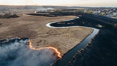 Світлина пожежі біля Тернополя визнана однією з кращих на міжнародному конкурсі. ФОТО