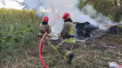 Загинули 14 сімей: на Тернопільщині згорів вагончик із бджолами