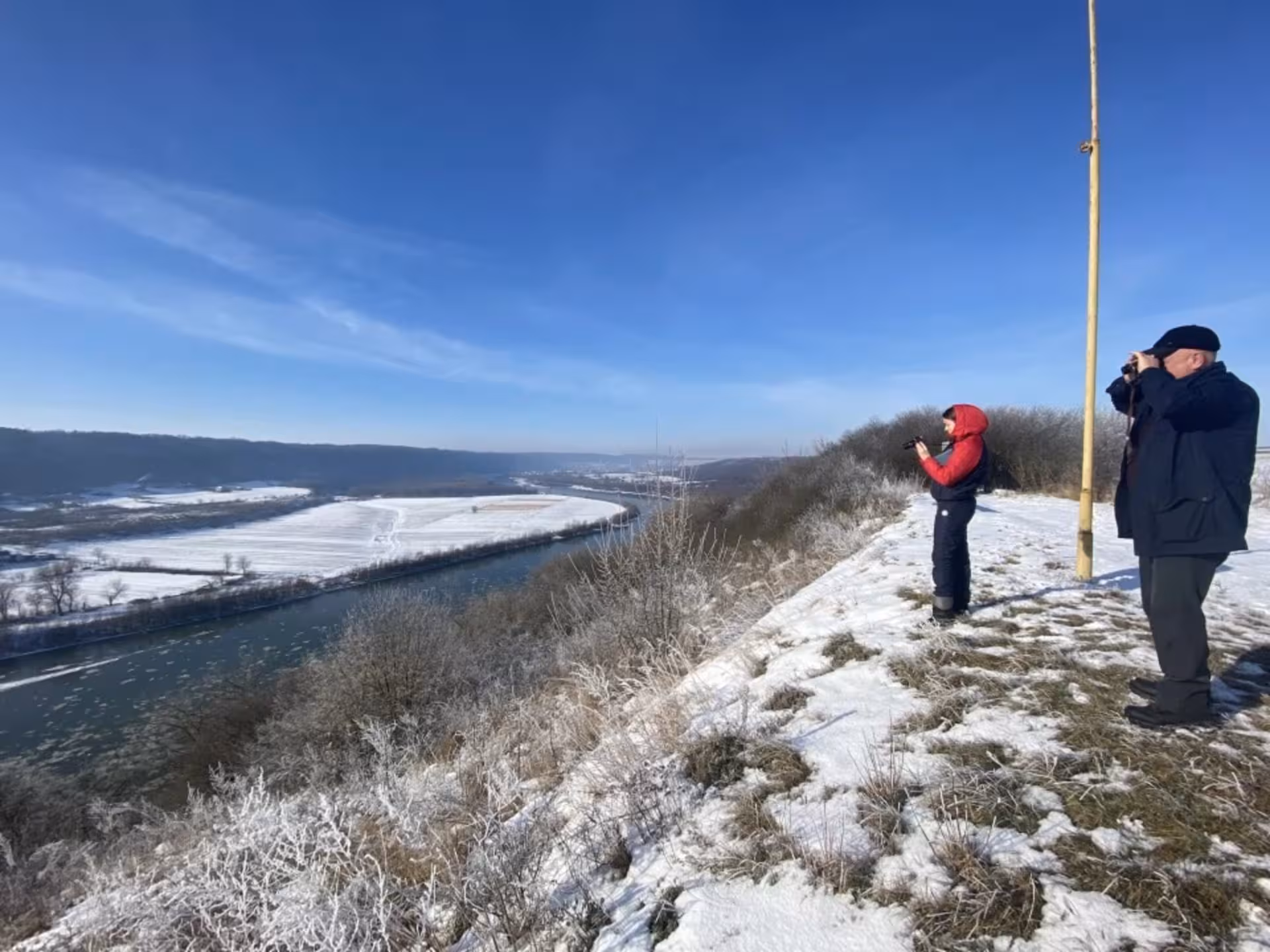 Рідкісних птахів виявили на Тернопільщині