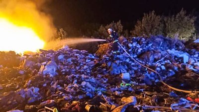 Понад 50 гектарів пшениці ледь не знищив вогонь на Тернопільщині. ФОТО