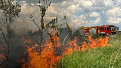 Сосновий ліс і поле ріпаку ледь не згоріли на Тернопільщині