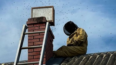 Рятувальники Тернопільщини стали... пасічниками. ФОТО
