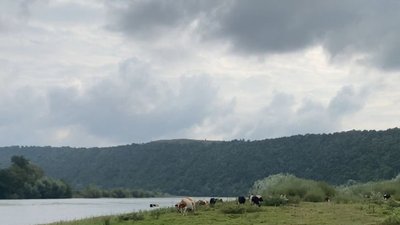 Тернопільські прокурори відсудили землі для Дністровського каньйону