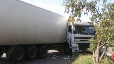 На Тернопільщині люди стануть живим щитом проти латифундиста. ВІДЕО