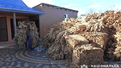 Вилучили тонну тютюну: підпільний бізнес викрили на Тернопільщині. ФОТО