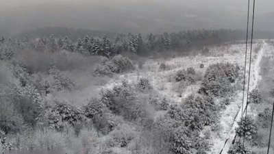 В Карпатах засніжило
