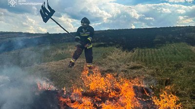 Майже 800 загорянь: масштаби пожеж на Тернопільщині шокують
