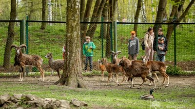 Зоокуток у парку "Топільче" приймає відвідувачів. ФОТО