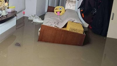 Диван поплив, наче човен, води було по пояс: наслідки потопу на Тернопільщині. ФОТО, ВІДЕО