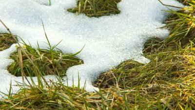 Весна перемагає: якої погоди очікувати в березні на Тернопільщині?