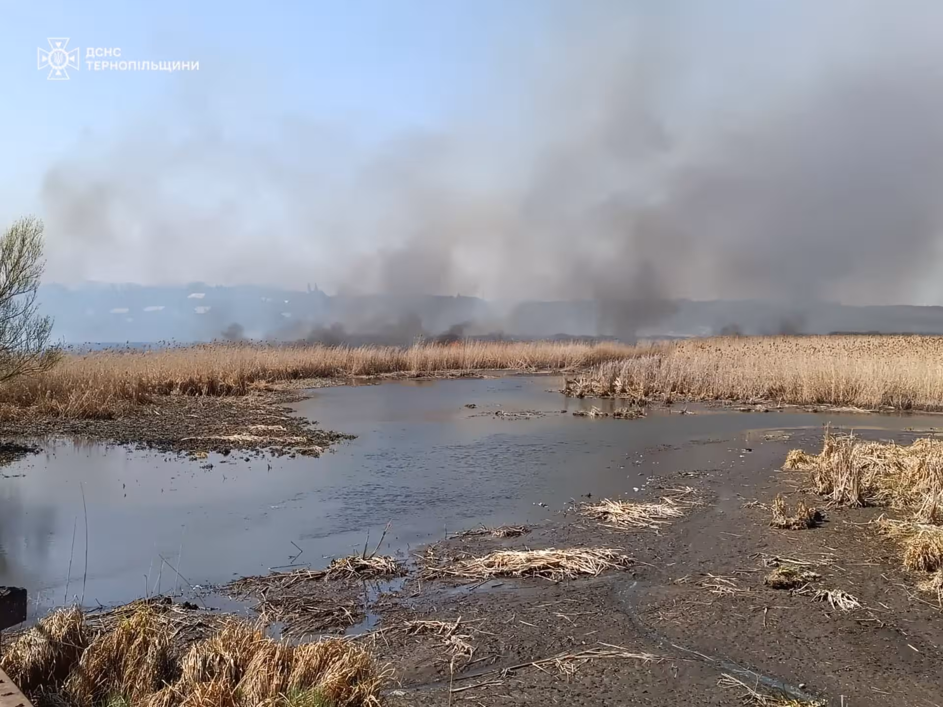 Масштабна пожежа біля Тернополя: вогонь охопив три гектари. ФОТО