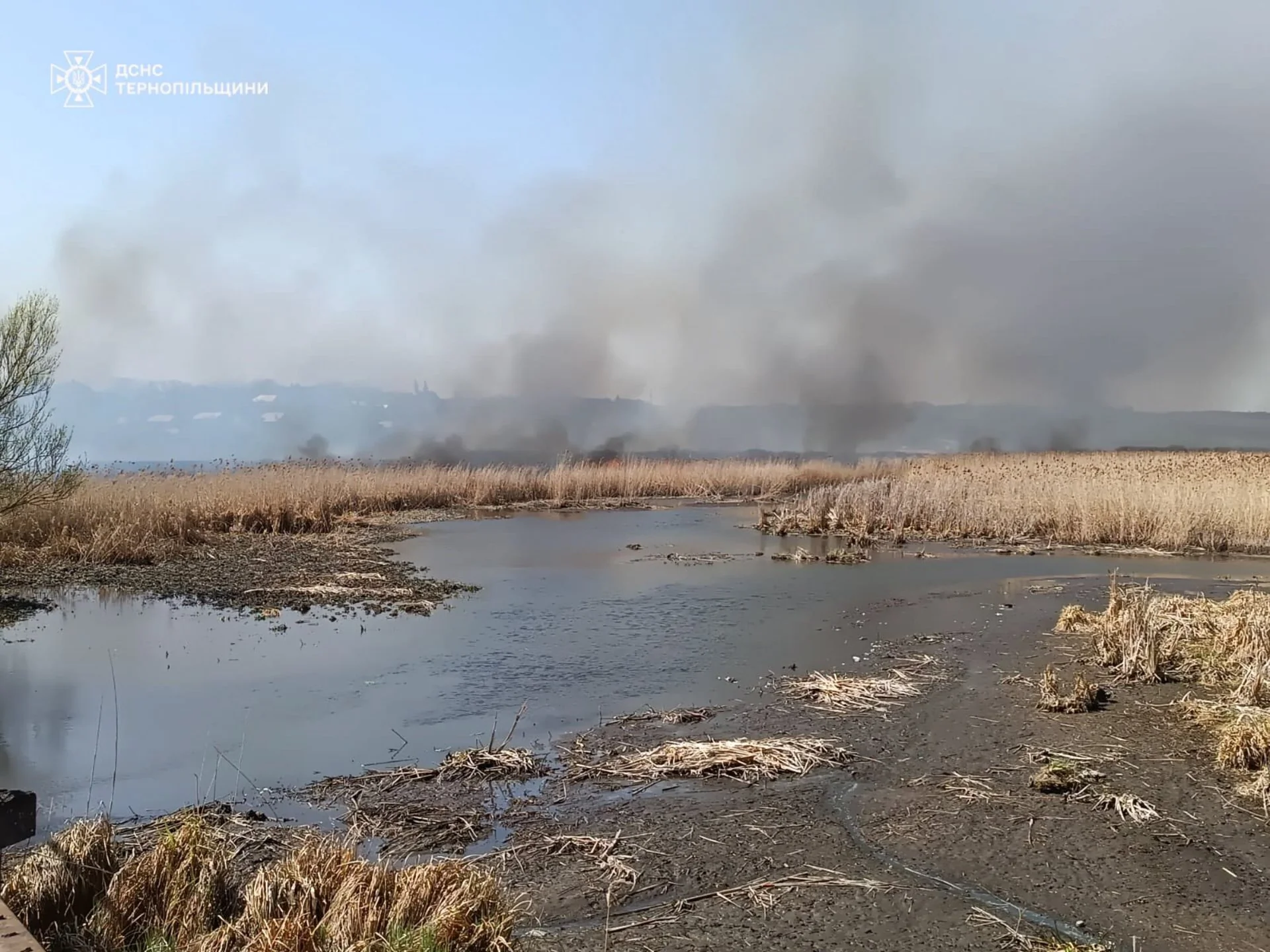 Масштабна пожежа біля Тернополя: вогонь охопив три гектари. ФОТО