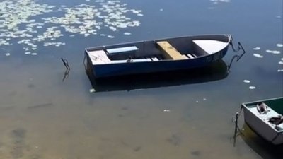 Багаторічна робота міської ради з очищення Тернопільського ставу дала результати: немає водоростей та смороду