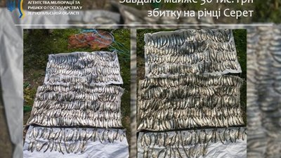 На Тернопільщині браконьєр половив рибки на 30 000 гривень