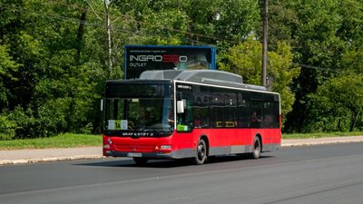 З 25 червня в Тернополі змінюється нумерація автобусів і тролейбусів