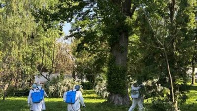 14-15 травня у парках Тернополя будуть боротися з кліщами