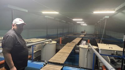 В одній із громад Тернопільщини почали вирощувати форель