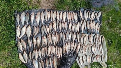 Хапуга наловив сіткою риби на 200 000 гривень