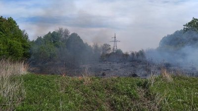 Від початку року на Тернопільщині сталася майже тисяча пожеж сухої трави