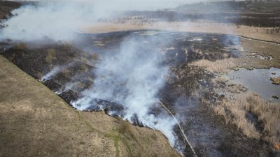 На скільки можуть оштрафувати за спалювання сухої трави і сміття