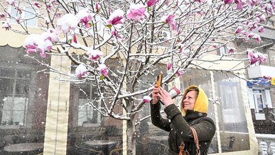 Холодний травень: коли весна нарешті потішить теплом?