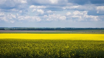Аграріям стане важче забронювати працівників