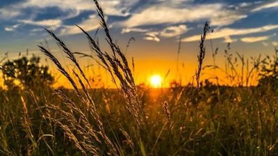 Молоде бабине літо прийшло на Тернопільщину - гаряче і яскраве