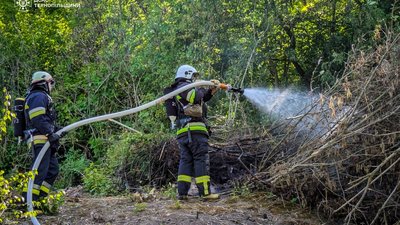 Страшні опіки: на Тернопільщині ледь не загинула 90-річна жінка, котра спалювала сміття