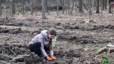 На Тернопільщині молодь висаджує дерева