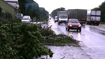 В Озерній літав дах, а дерева ламалися наче сірники