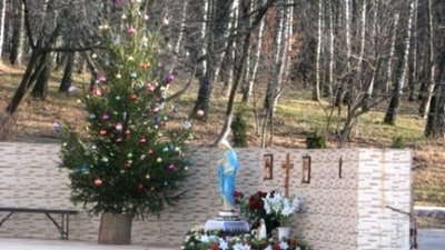 Сектанти поставили на місці зруйнованої каплички ялинку. Фото